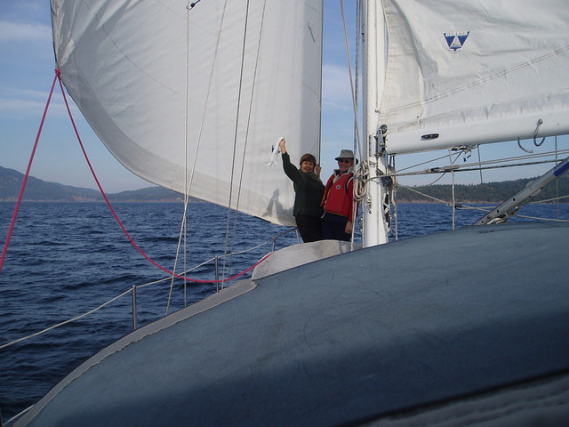 Galiander wing on wing.