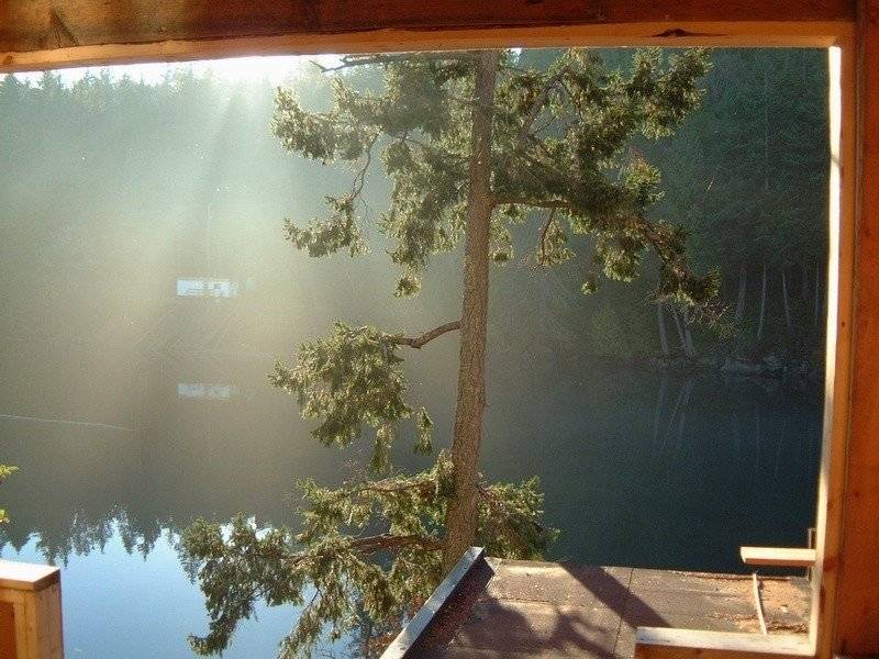 Galiander in her winter attire