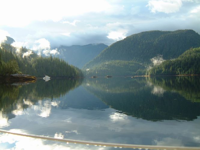 Morning in Port Harvey