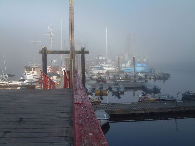 Morning in Port Harvey